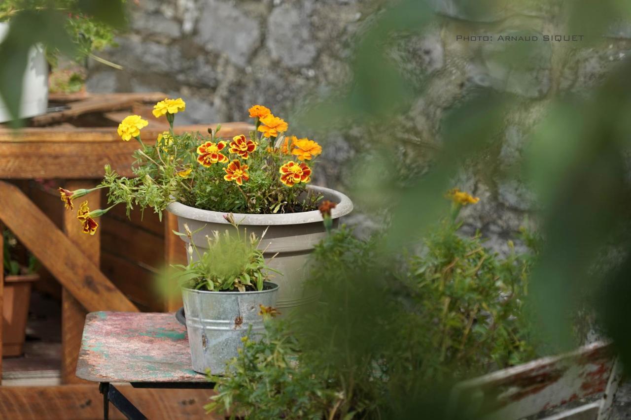 Gite Familial Ferme Des Aujes Falaen Onhaye Exterior foto